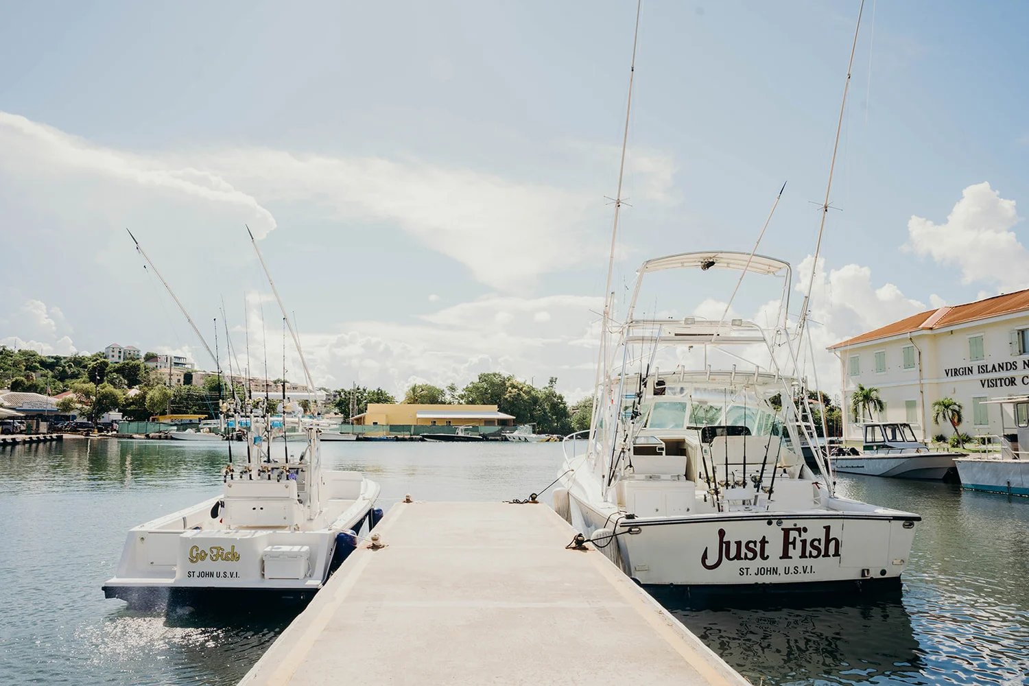 Just Fish St. John