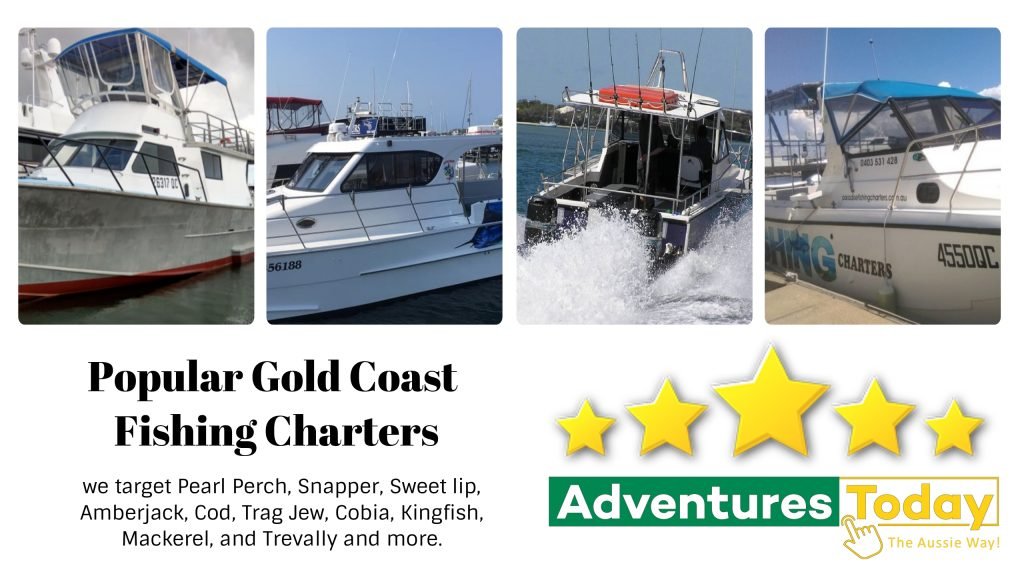 Gold Coast Fishing