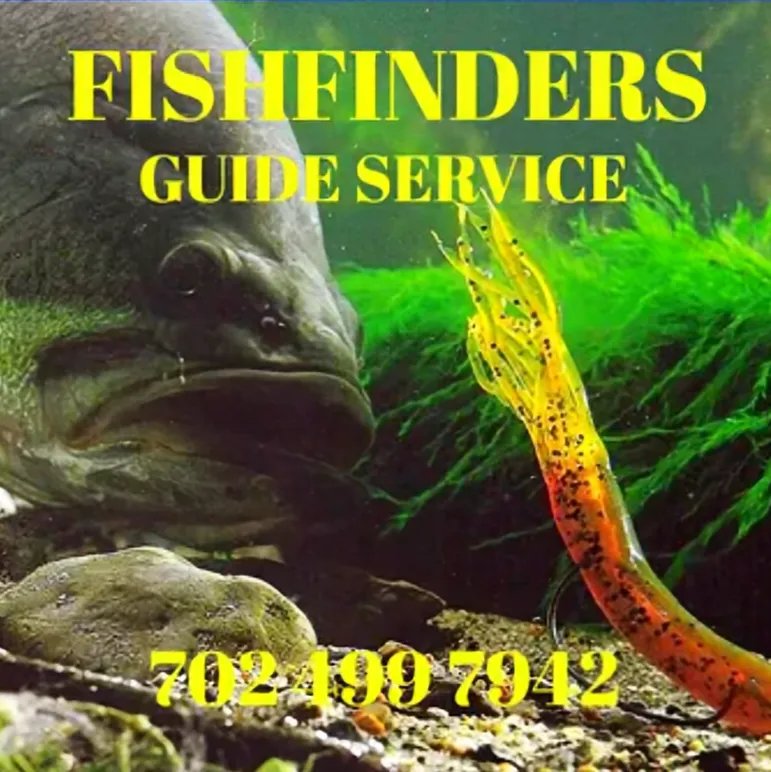 Lake Mead Fishing Guide