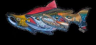 Alaska Kenai Fishing For Fun