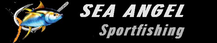 Sea Angel Charters