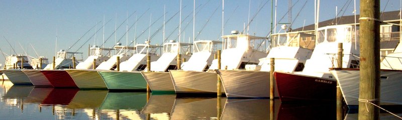 Hatteras Harbor Offshore Charters