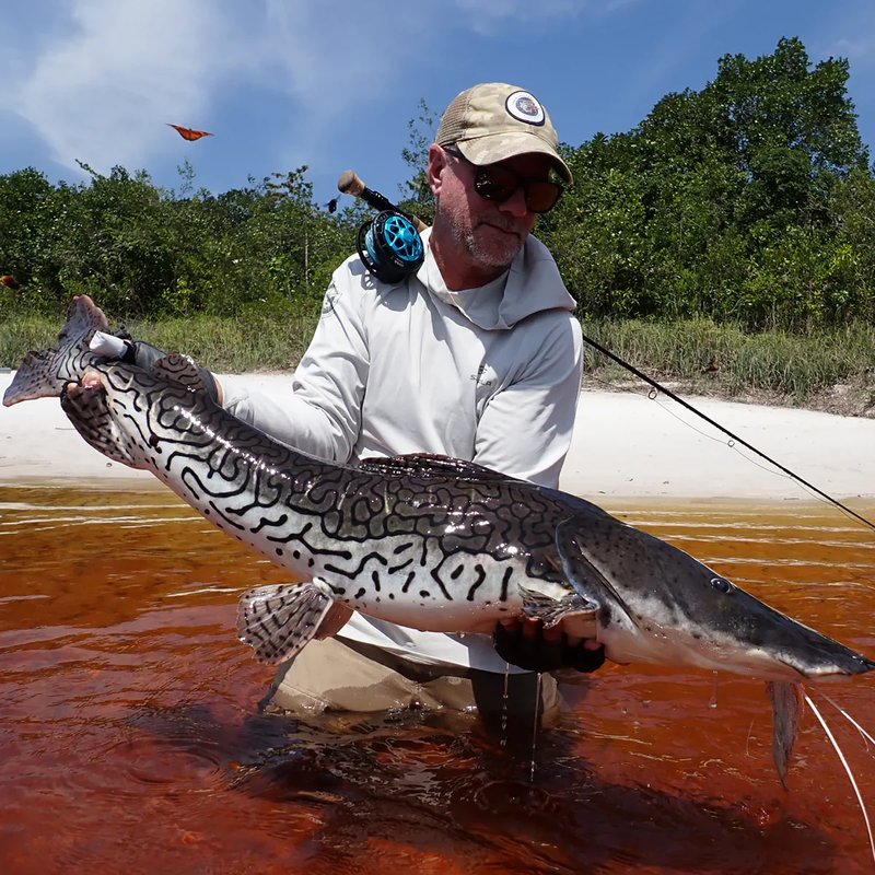 Fins and Feathers Guide Service